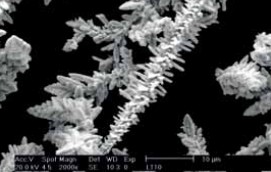 ELECTROLYTIC COPPER POWDERS.jpg