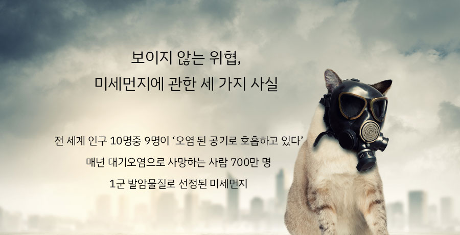 추가 이미지 14