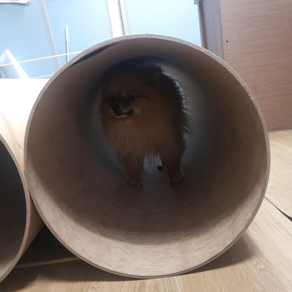 추가 이미지 8
