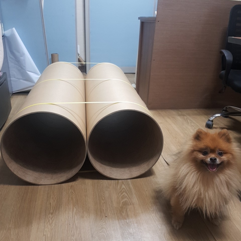 추가 이미지 7