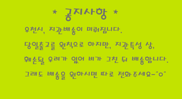 추가 이미지 5